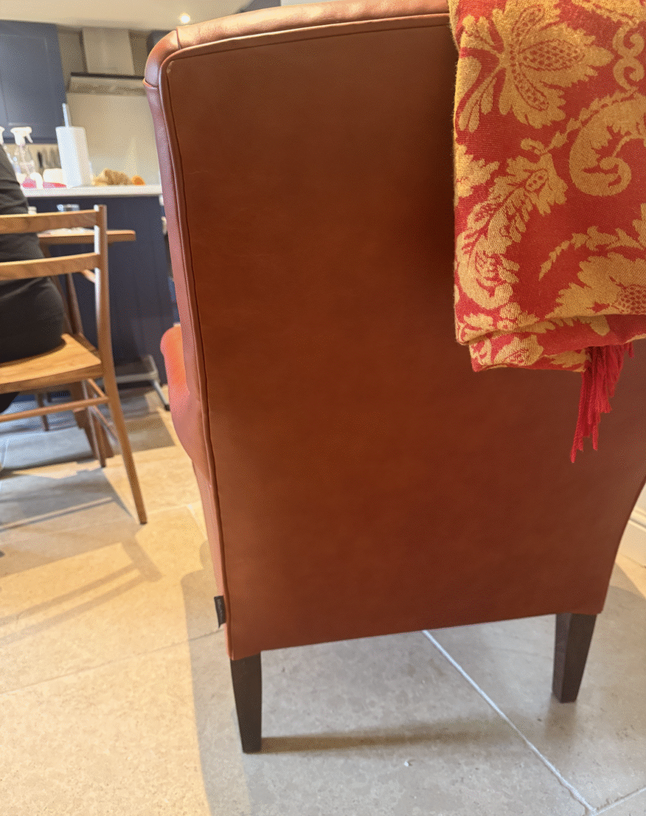 2 x Leather Snape Chairs from Sofas & Stuff